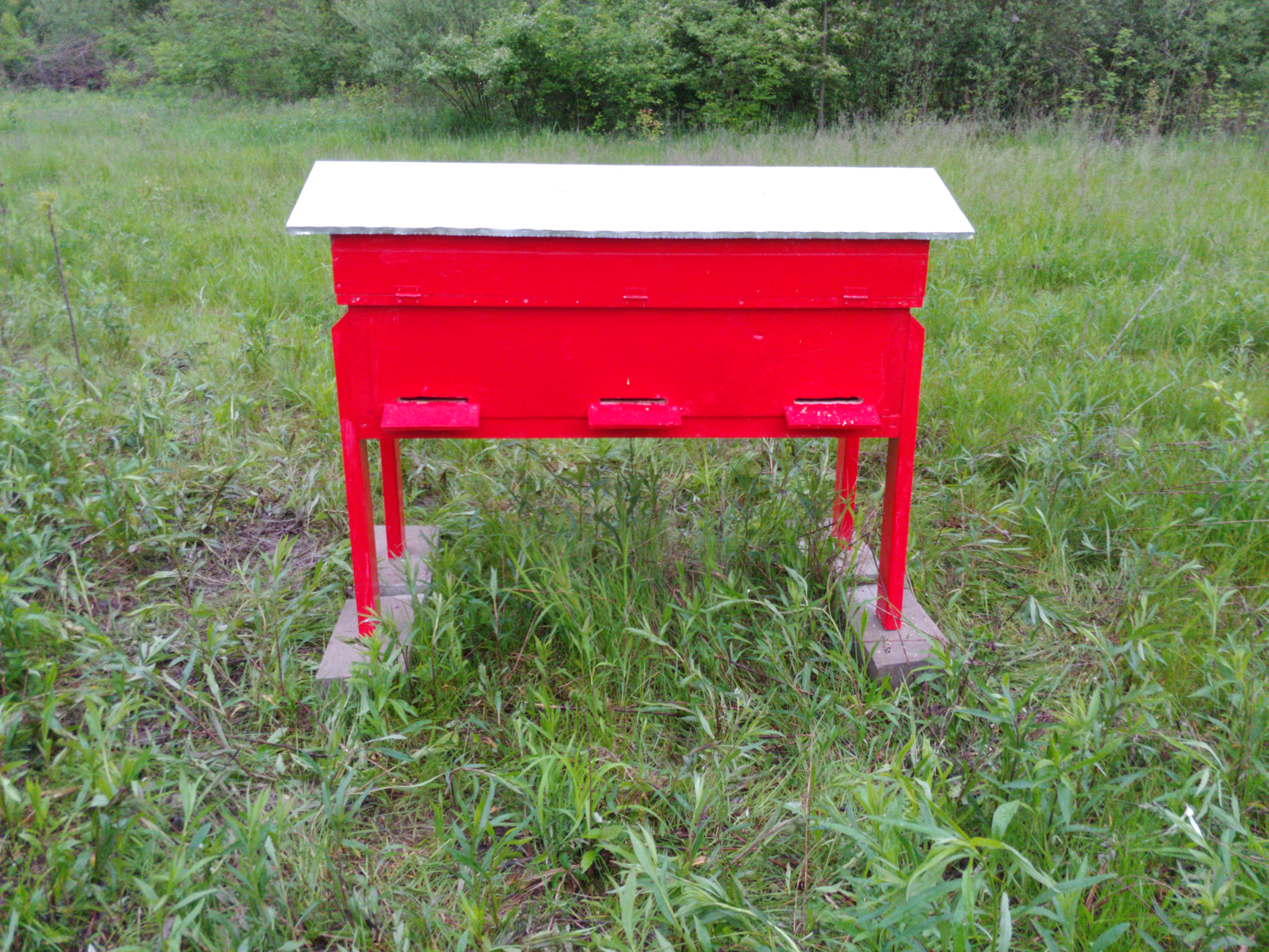 Langstroth beehives